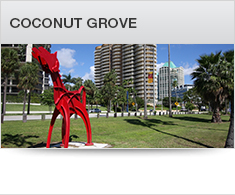 Coconut Grove