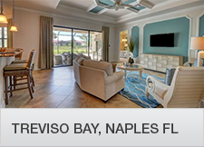 Treviso Bay Naples FL Home Finder