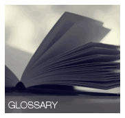 Terri Leal Homes Real Estate Glossary